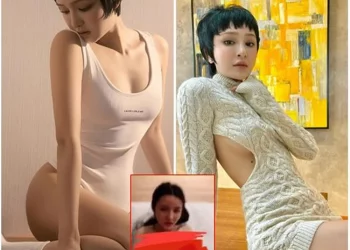 Tổng quan về vụ việc clip Hiền Hồ và Hồ Nhân đẩy xe bò