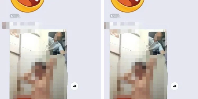 Clip hiệu trưởng Gia Lai gửi nhầm ảnh nhạy cảm không che vào nhóm Zalo 1 Clip hiệu trưởng Gia Lai gửi nhầm ảnh nhạy cảm không che vào nhóm Zalo