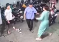 Clip cô gái MMA đánh thanh niên xăm trổ