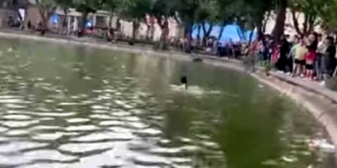 clip cô gái đuối nước ở hồ gươm