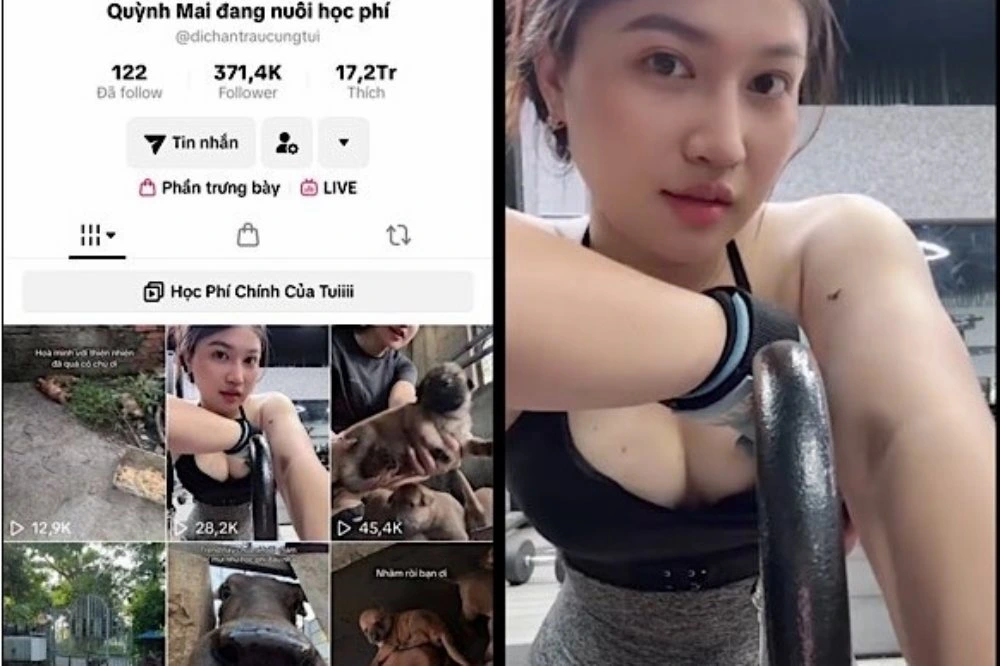 clip Tiktoker Quỳnh Mai đang nuôi học phí 