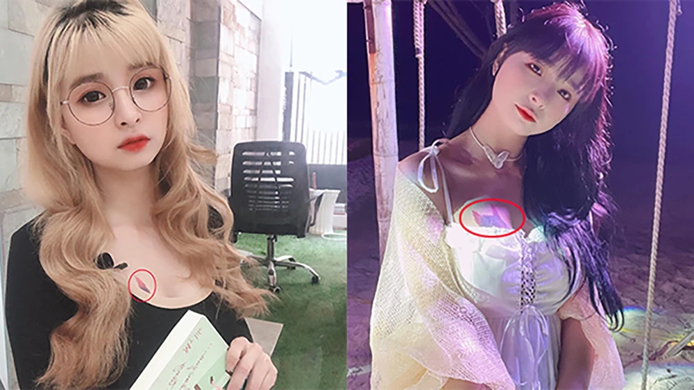 Mèo 2k4 sinh năm bao nhiêu?