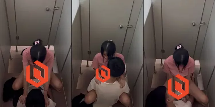 Clip công ty áo hồng